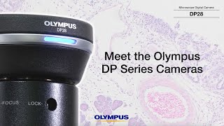 Meet the Olympus DP Series Cameras [upl. by Hendrika]