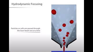 Fluorescence Activated Cell Sorting FACS  Methods Presentation [upl. by Leotie]