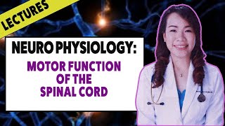 Lecture  Neuro Physiology Motor Function of the Spinal Cord [upl. by Aredna12]