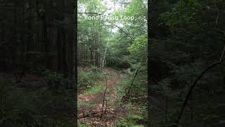 Pond Parish Trail turn nature hikingtrails [upl. by Ainez]