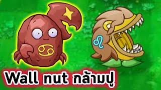 Wall nut กลายเป็นปูและ Chomper ที่ตกมาจากดวงดาว Plants Vs Zombies constellation Mod [upl. by Ymrots]