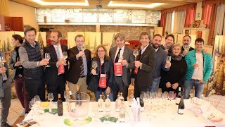 CANTINE APERTE  IL FRIULI VENEZIA GIULIA PRESENTA I VINI MIGLIORI [upl. by Nikolos]