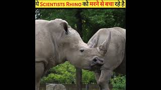 ये scientists rhino को मारने से बचा रहे shorts knowledge gk fact amazingfact ytshorts ytshort [upl. by Natascha8]