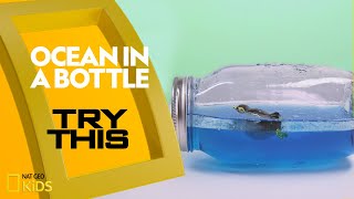 Ocean in a Bottle  Try This [upl. by Katsuyama938]