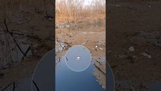 Float Fishing Videos  Carp Bite Winter Fishing Bite For Beginners Subscribe👍for more Videos [upl. by Helga]