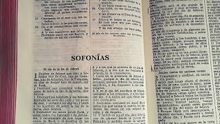 La Biblia  Sofonías Libro completo  Reina Valera 1960 [upl. by Elttil694]