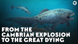 From the Cambrian Explosion to the Great Dying [upl. by Vani]