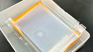 Gel electrophoresis [upl. by Nohtiek]