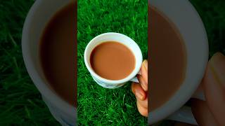 এই চায়ের স্পেশাল কিন্তু অনেক কিছুই আছে ☕☕ shorts youtubeshorts shortsvideo [upl. by Eeroc503]