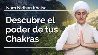 Cómo nos AFECTAN los CHAKRAS en nuestra vida  Nam Nidhan [upl. by Dre]