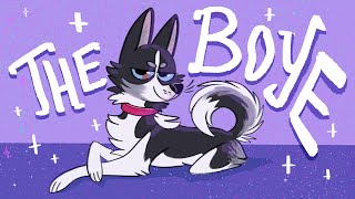 ✨  here comes the boye  ✨ [upl. by Hackett]