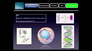 Basiskurs BiochemieChemie Nukleinsäuren Teil 1010 [upl. by Llennoc]