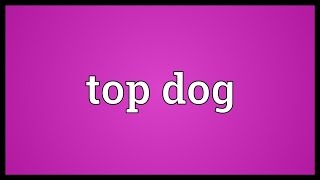 Top dog Meaning [upl. by Areemas]