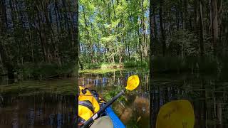 Packrafting Uckermark [upl. by Noivad]