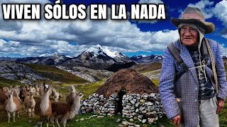 Así es la VIDA de los PASTORES en las MONTAÑAS más Altas del Perú [upl. by Cuthburt17]