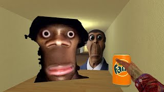 POV CRAZY AUUGHH VS OBUNGA NEXTBOTS GMOD NEXTBOTS [upl. by Ynomrah]