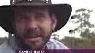 The Skunk Ape  GENUINE FOOTAGE OF THE quotFLORIDA BIGFOOTquot [upl. by Parker]