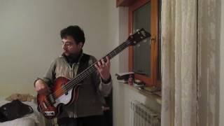 Piccola Katy Pooh bass cover [upl. by Haeli]