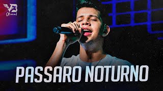 Pássaro Noturno  Nadson Ferinha Repertorio Atualizado Musica Nova [upl. by Canice]