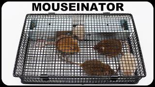 Catch 25 Mice With The MOUSEINATOR Mouse Trap Amazing New Mouse Trap Mousetrap Monday [upl. by Brownson]