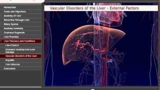 Liver Module Medtrainer  Anatomy Training [upl. by Rajiv111]