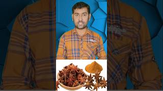 அன்னாசிபூ நன்மைகள்  Star Anise Benefits  Star Anise Uses staranise health healthy shorts [upl. by Olenolin]