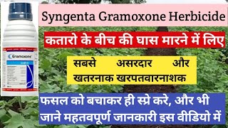 Syngenta Gramoxone Herbicide। Paraquat Dichloride 24SL के बारे में पूरी जानकारी इस वीडियो में। [upl. by Aikahc]