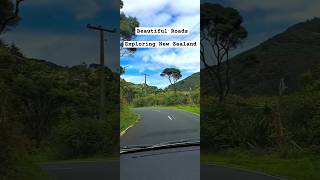 Get Ready to Explore New Zealand  Bethells Beach  shorts minivlogs travel nature [upl. by Bonny]