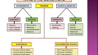 I CROMOSOMI SESSUALI e le malattie genetiche [upl. by Bartholomeo835]