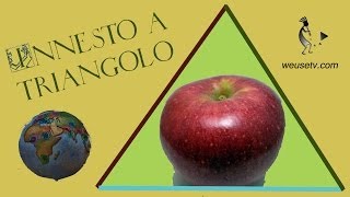 Botanica e giardinaggio  Melo Stayman  Innesto a triangolo Lorenzo Bonino  Tecniche di innesto [upl. by Alberik]