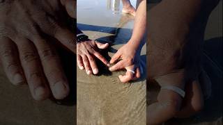 Unbelievable Catching with Empty Hand fishing fishingvideos seafishing thoondilulagam [upl. by Antoinette]