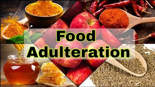 Food Adulteration test at home Chemistry Activity Class 9 [upl. by Losiram374]