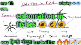 colouration in fishes 🐠🐠🐠msc zoology 4th semester full हिन्दी easy Notes ✍️✍️📝 [upl. by Ennylhsa175]