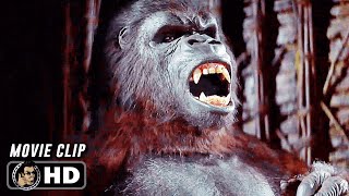 KING KONG Clip  quotCapturing King Kongquot 1976 [upl. by Tessie]