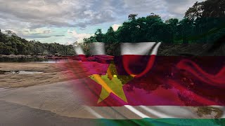 Highlights of SURINAME journey 2022 [upl. by Hakym362]