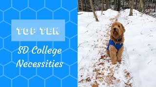 TOP TEN Service Dog Necessities in College [upl. by Annelak669]