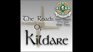 Roads Of Kildare Derek Warfield amp The Young Wolfe Tones [upl. by Merline]