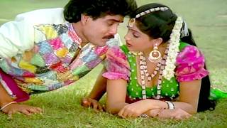 Janaki Ramudu Super Hit Song  Arere Dhadapetti Pothundi  Nagarjuna Vijayashanti Jeevitha [upl. by Ragouzis]