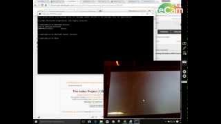 2015 Fire Booting TWRP Rooting Installing Gapps [upl. by Nuawaj]