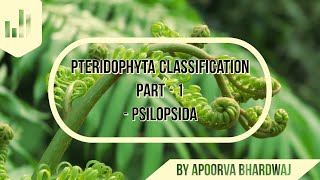 Pteridophyta Classification part1 Psilopsida 2nd year botany HD TT biology Daily Classes [upl. by Jeremias]