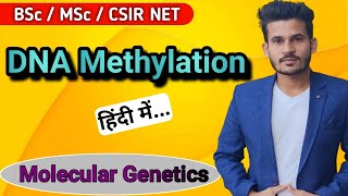 DNA Methylation  BSc MSc CSIR NET [upl. by Bornstein]