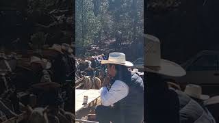 Bailes y coleaderos en la sierra de Mezquital Durango [upl. by Lemrac429]