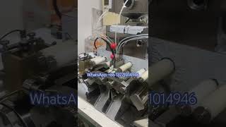 Small 4inch soft gel making machine for animal nutritiondog foodsoftgel capsule production [upl. by Retseh816]