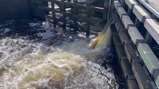 Environmentalists warn of impacts ahead of Lake Okeechobee discharges [upl. by Llemej]