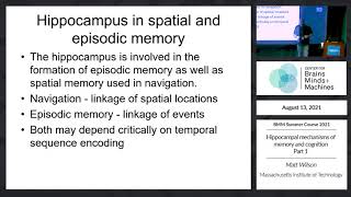 Hippocampal mechanisms of memory and cognition Part 1 [upl. by Mathia806]