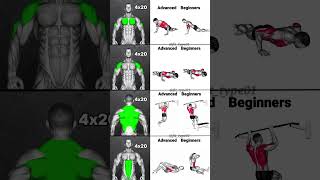 Upper Body Exercises Beginners To Advanced shorts [upl. by Buschi]