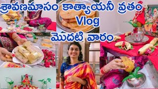 Katyayani Devi Vratam  vlog [upl. by Spiegleman]