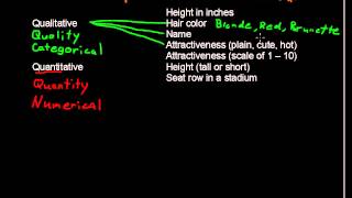 What are Qualitative and Quantitative Variables  Business Statistics Tips [upl. by Rothenberg]