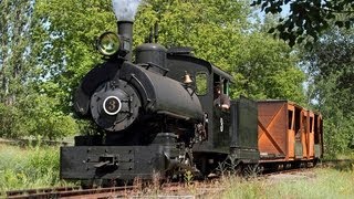 Steam in Copper Country Lake Linden amp Torch Lake Railroad  in HD [upl. by Lallage29]