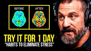 NEUROSCIENTIST You Will NEVER Be Stressed Again  Andrew Huberman [upl. by Tomlinson]